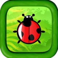 Ladybug Adventures